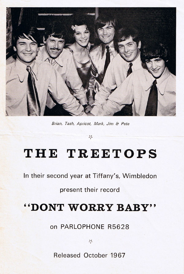 The Treetops promo for "Don't Worry Baby"