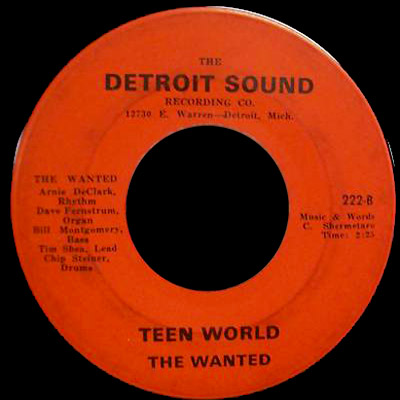 The Wanted Detroit Sound 45 Teen World