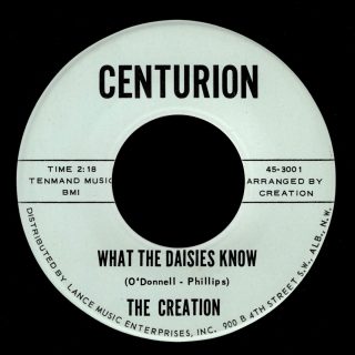 Creation Centurion 45 What The Daisies Know