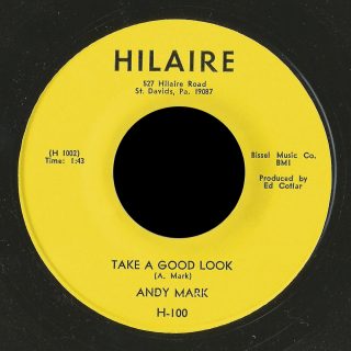 Andy Mark Hilaire 45 Take a Good Look
