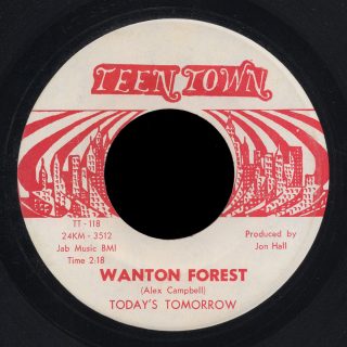 Today's Tomorrow Teen Town 45 Wanton Forest