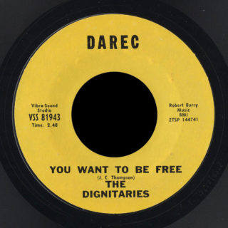 Dignitaries Darec 45 You Want to Be Free