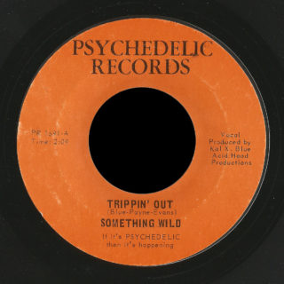 Something Wild Psychedelic 45 Trippin' Out